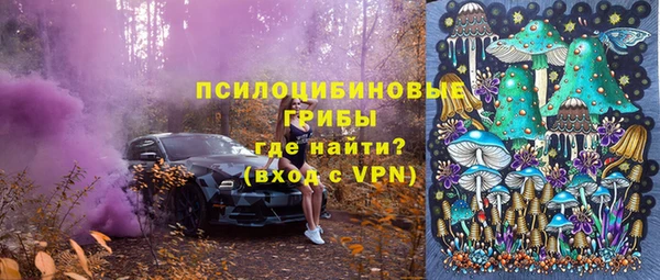 бошки Бородино